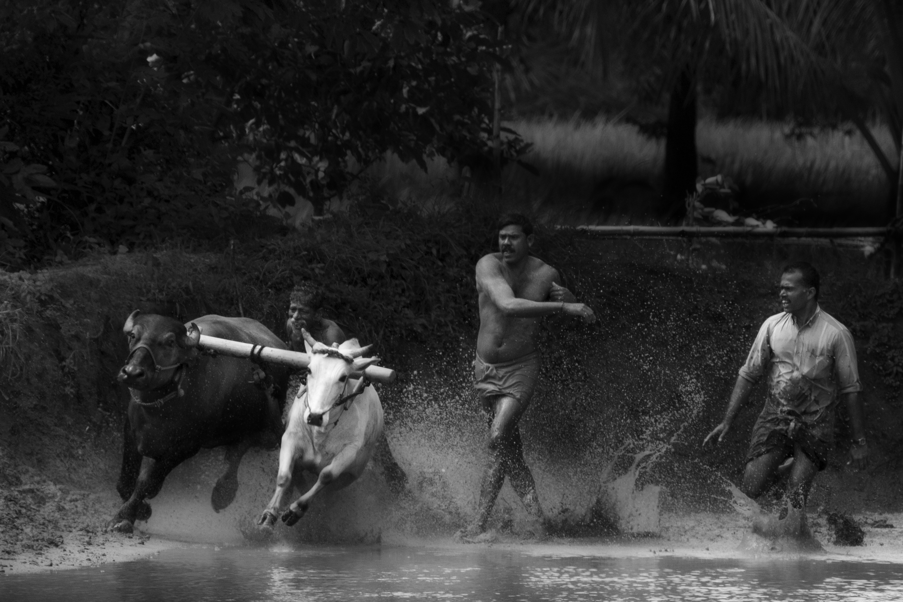 MG 0412