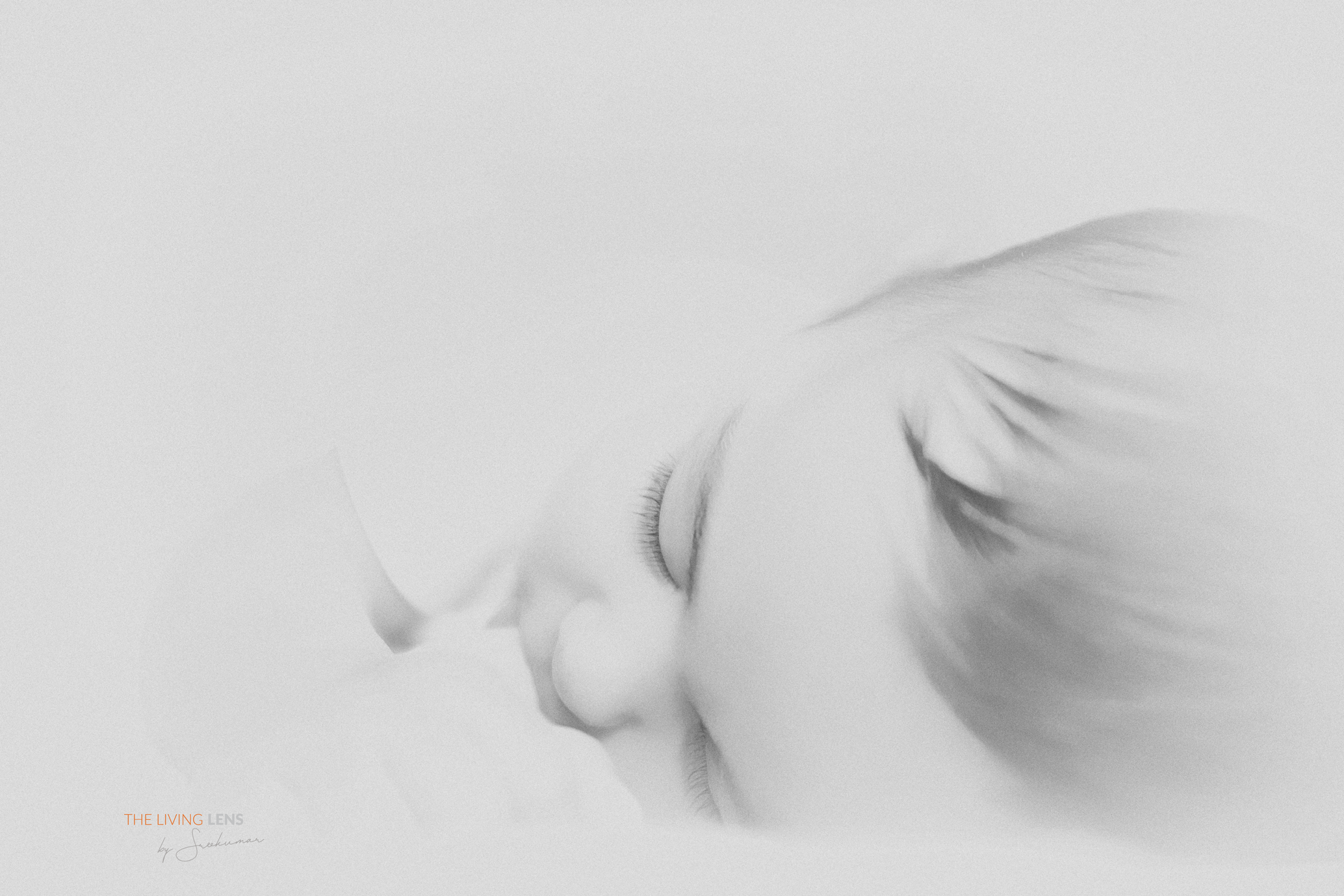 DSCF8357a