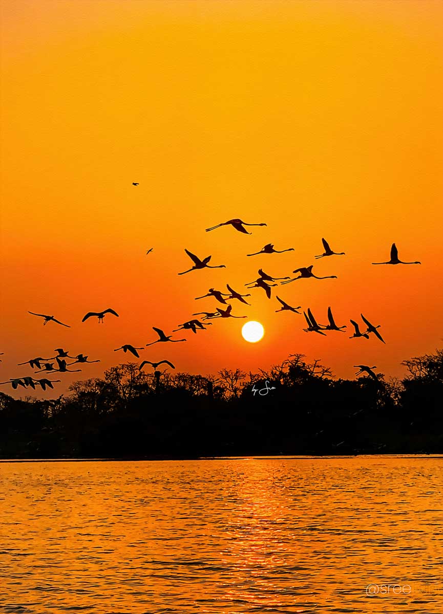 IMG 0883 Sunset 