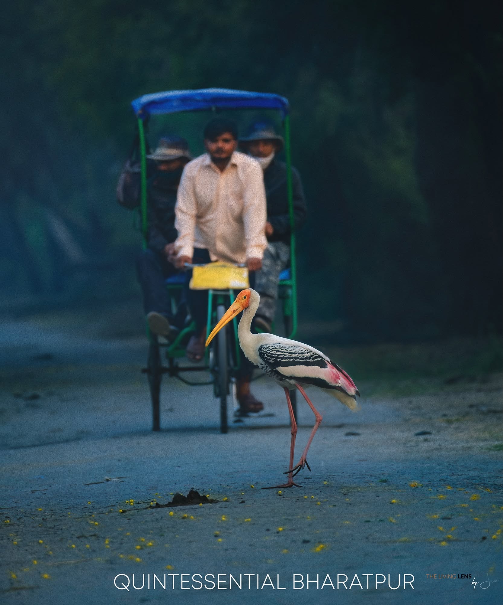 Quintessential Bharatpur