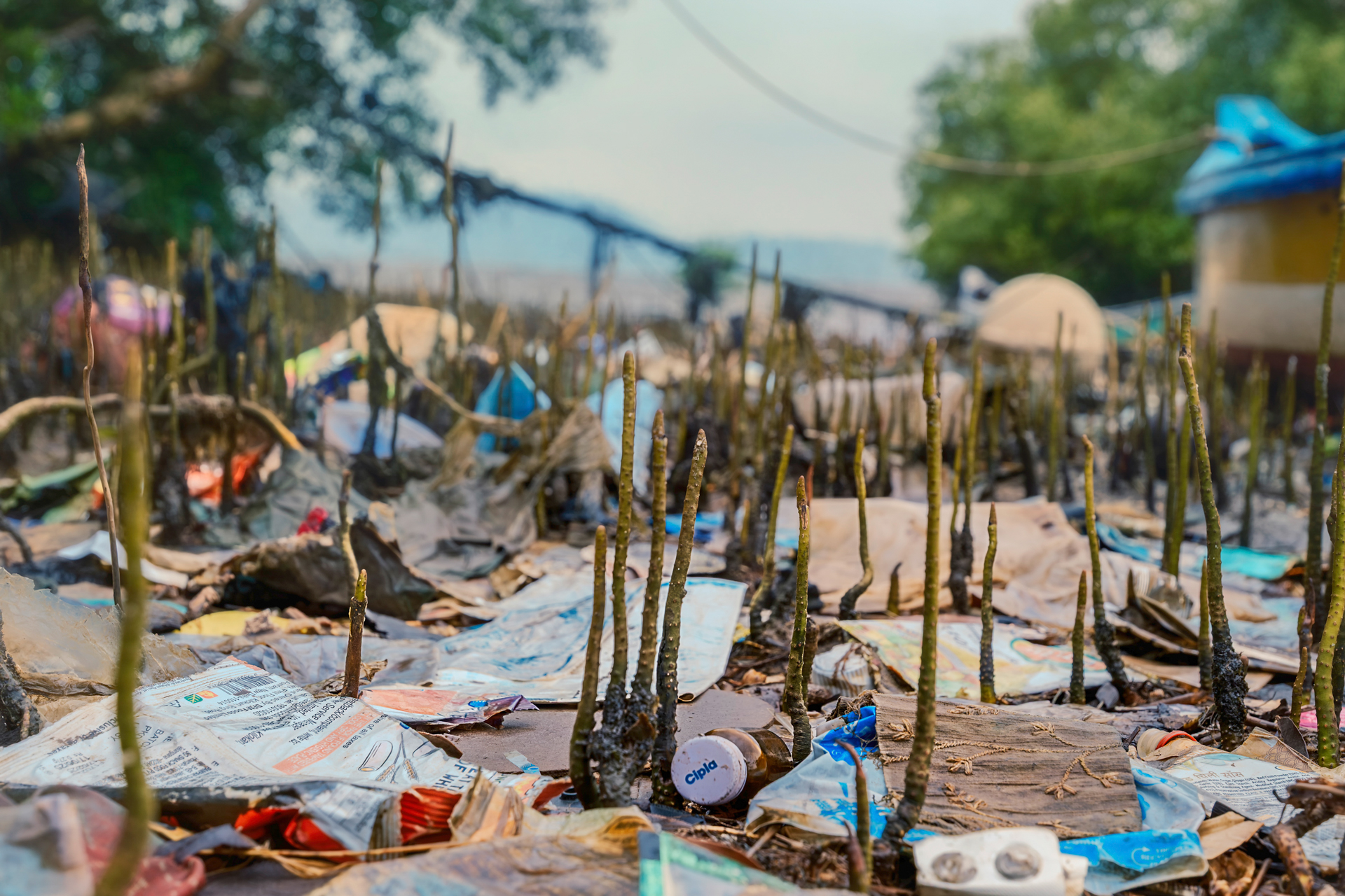 Brands a Threat to Conservation